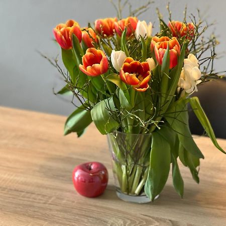 Apartament Hegau Boardinghouse Singen Zewnętrze zdjęcie