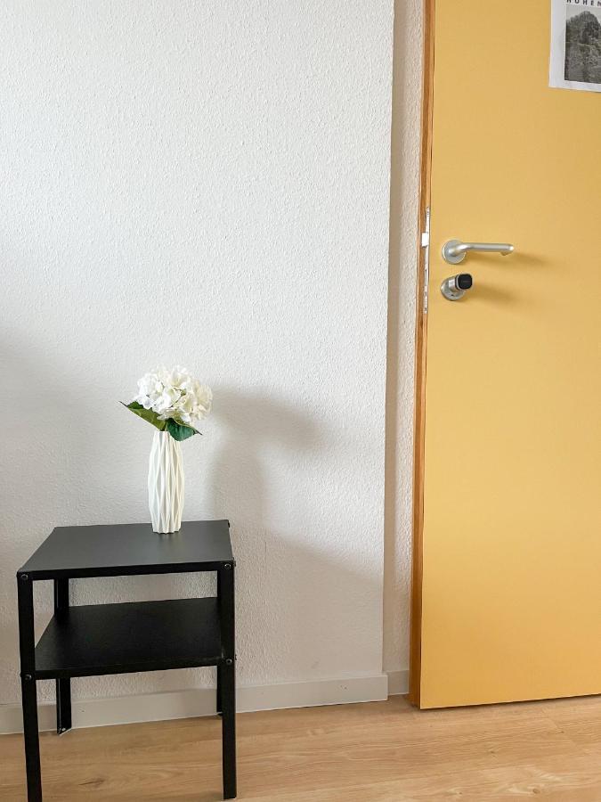 Apartament Hegau Boardinghouse Singen Zewnętrze zdjęcie